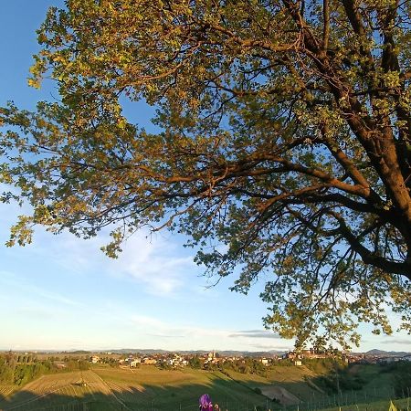 Bed and Breakfast Bed&Breakfast Le Civette San Damiano al Colle Exterior foto