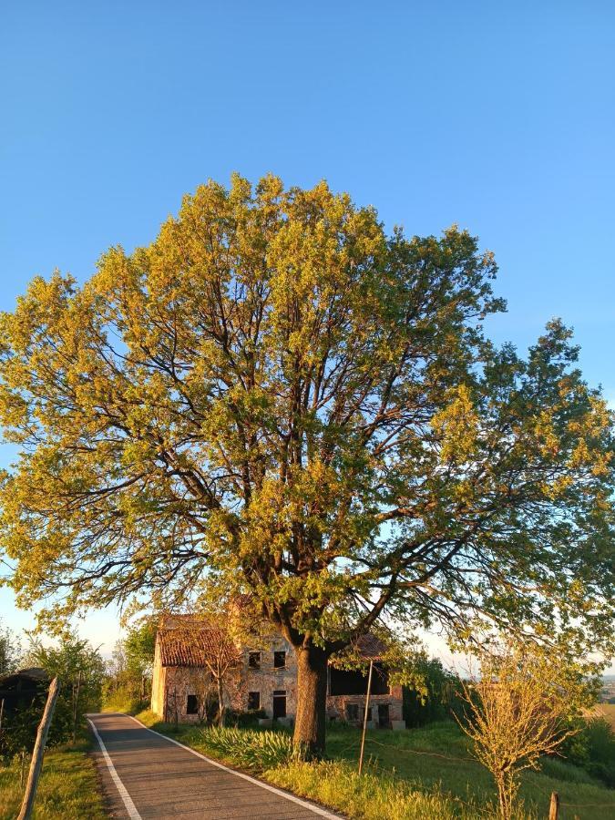 Bed and Breakfast Bed&Breakfast Le Civette San Damiano al Colle Exterior foto